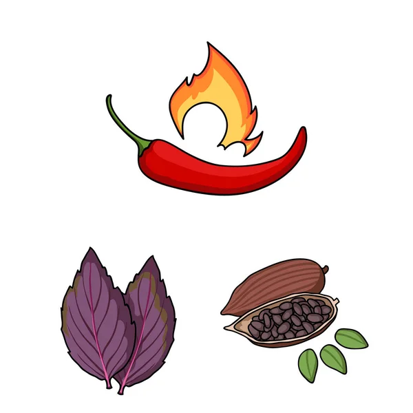 Ikon kartun rempah-rempah dan rempah-rempah dalam koleksi set untuk design.Different kind of seasonings vector simbol stok web illustration . - Stok Vektor