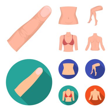 Parmak, kadın ayakları, kadın, büstü. Gövde bölümü çizgi film, düz stil vektör simge stok çizim web simgeler ayarla.