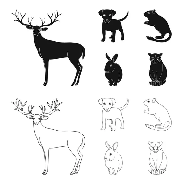 Štěně, hlodavec, králík a jiných živočišných druhů. Zvířata sada kolekce ikon v černé, osnovy styl vektor symbol akcií ilustrace web. — Stockový vektor