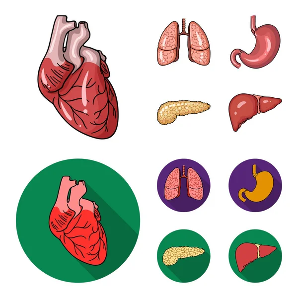 Corazón, pulmones, estómago, páncreas. Los órganos humanos establecen iconos de colección en dibujos animados, vector de estilo plano símbolo stock ilustración web . — Vector de stock