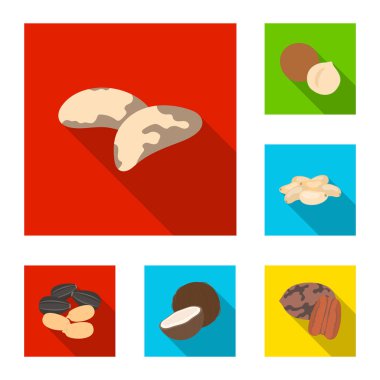 Fındık çeşitleri set koleksiyonu tasarım için simgeleri düz. Fındık gıda vektör simge stok web çizim.