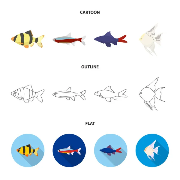 Pesce angelo, comune, barbus, neon.Fish set di icone di raccolta in cartone animato, contorno, stile piatto vettore simbolo stock illustrazione web . — Vettoriale Stock