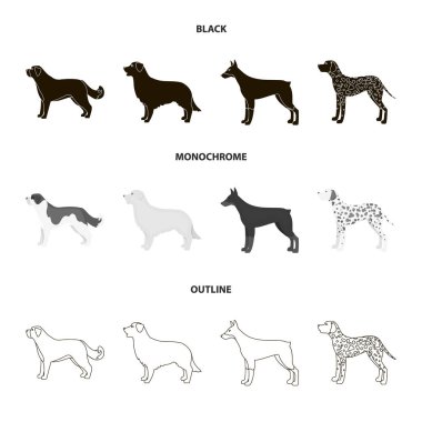 St. Bernard, geri almak, doberman, labrador. Köpek ırkları koleksiyonu Icons set siyah, tek renkli, anahat stili vektör simge stok çizim web.