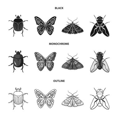 Yıkan, parazit, doğa, kelebek. Böcekler koleksiyonu Icons set siyah, tek renkli, anahat stili vektör simge stok çizim web.