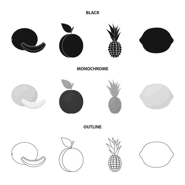 Melão, ameixa, abacaxi, limão. Conjunto de frutas ícones de coleção em preto, monocromático, esboço estilo vector símbolo estoque ilustração web . — Vetor de Stock