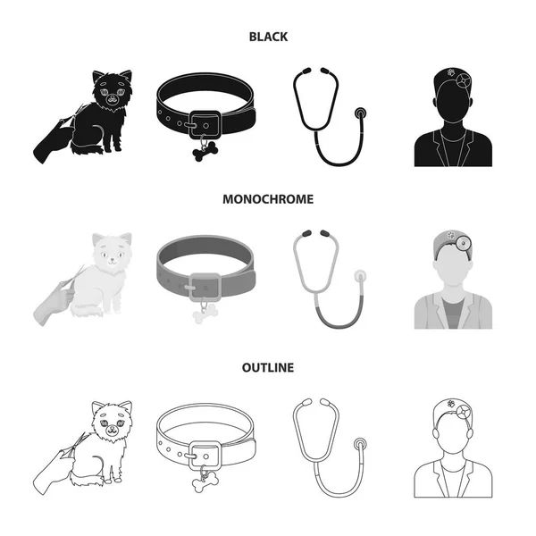 Límec, kosti, kočka, účes. Veterán klinika sada kolekce ikon v černá, černobílá, osnovy styl vektor symbol skladem ilustrace web. — Stockový vektor