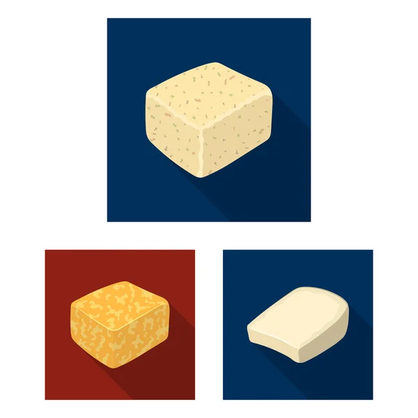 Jiný druh sýra ploché ikony v kolekce sady pro design.Milk produktu sýr vektor symbol akcií web ilustrace. — Stockový vektor