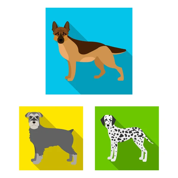 Φυλές σκύλων επίπεδη εικονίδια στη συλλογή σετ για σχεδιασμό. Σκύλος συντροφιάς διάνυσμα σύμβολο μετοχών web εικονογράφηση. — Διανυσματικό Αρχείο