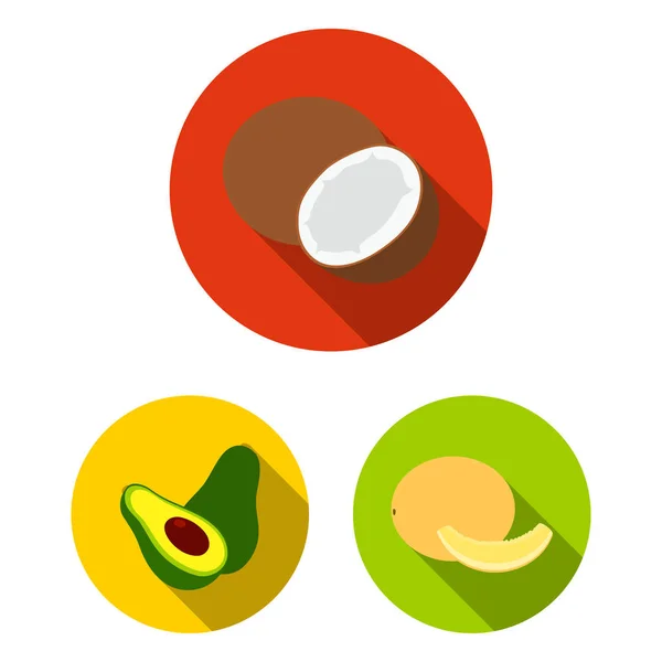 さまざまな果物はフラット デザインのセットのコレクションのアイコンです。果物やビタミンのベクトル シンボル ストック web イラスト. — ストックベクタ