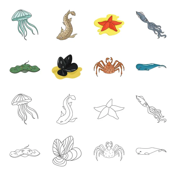 Rampa eléctrica, mejillones, cangrejo, cachalote. Los animales del mar establecen iconos de la colección en dibujos animados, contorno estilo vector símbolo stock ilustración web . — Vector de stock