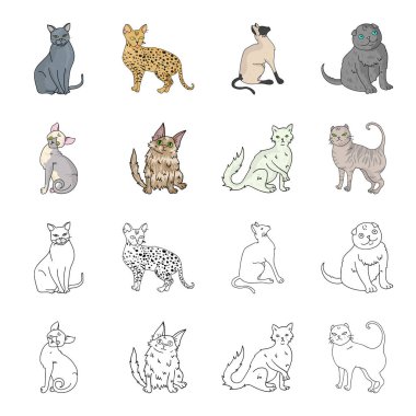 Türk Angora, İngiliz el yazısı ve diğer türler. Kedi doğurmak toplama simgeler çizgi film, anahat stili vektör simge stok çizim web ayarla..