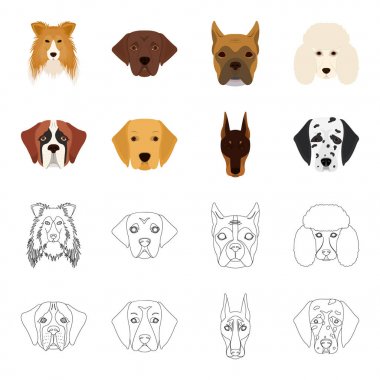 Farklı doğurmak-in köpek ağızlık. St. Bernard, golden retriever, Doberman, Dalmaçyalı doğurmak köpek toplama simgeler çizgi film, anahat stili vektör simge stok çizim web ayarla..