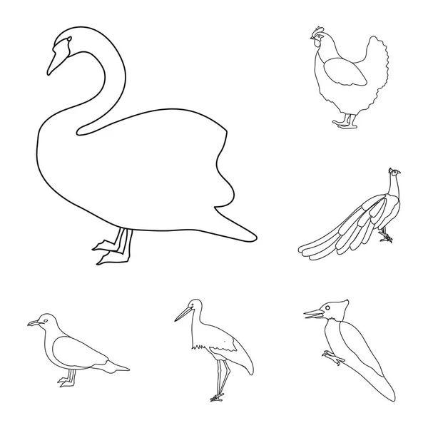 Tipos de aves esbozan iconos en la colección de conjuntos para el diseño. Inicio y aves silvestres vector símbolo stock web ilustración . — Vector de stock