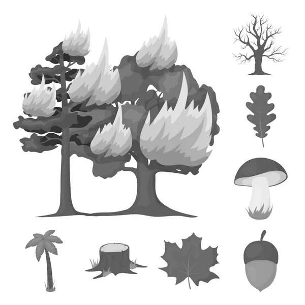 Forêt et nature icônes monochromes dans la collection ensemble pour le design. Forêt vie vecteur symbole stock web illustration . — Image vectorielle