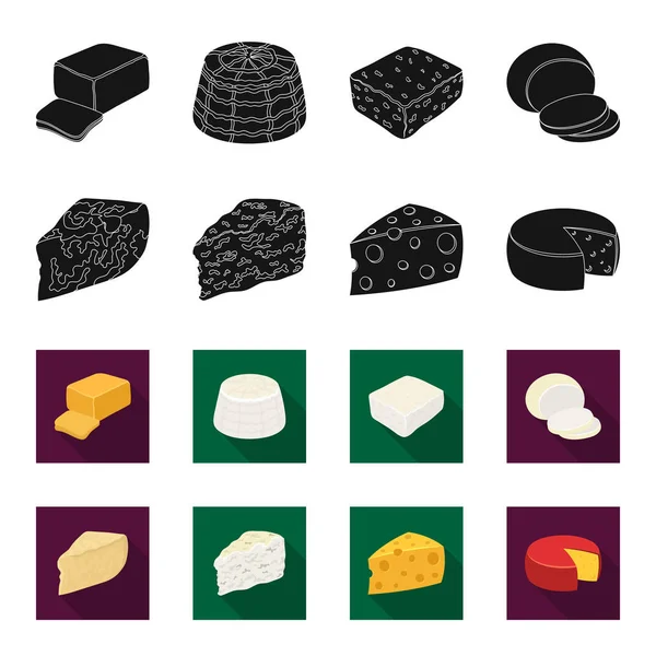 Parmesão, roquefort, maasdam, gauda.Different tipos de queijo conjunto coleção ícones em preto, estilo flet vector símbolo estoque ilustração web . — Vetor de Stock