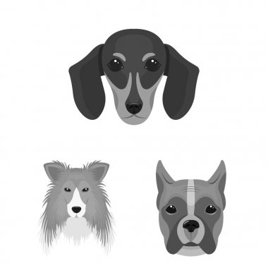 Köpek ırkları set koleksiyonu tasarım için tek renkli simgeler. Bir köpek vektör simge stok web illüstrasyon namlu.