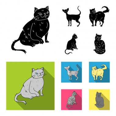 Farsça, Cornish rex ve diğer türler. Kedi doğurmak toplama simgeler siyah, düz stil vektör simge stok çizim web içinde ayarla..