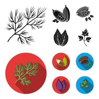 Dereotu, kakao çekirdekleri, fesleğen. Otlar ve baharatlar toplama simgeler siyah, düz stil vektör simge stok çizim web ayarla.