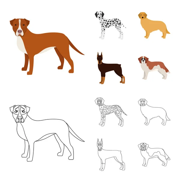 Perro razas de dibujos animados, iconos de contorno en la colección de conjuntos para design.Dog mascota vector símbolo stock web ilustración . — Archivo Imágenes Vectoriales