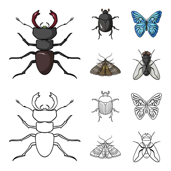 견인차, 기생충, 자연, 나비입니다. 곤충 만화, 개요 스타일 벡터 기호 재고 일러스트 웹 컬렉션 아이콘 설정. — 스톡 벡터