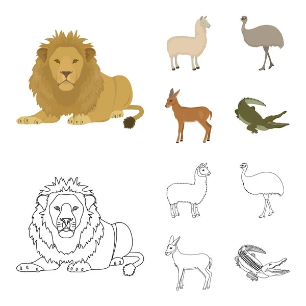Lama, avestruz emu, antílope jovem, crocodilo animal. Animal selvagem, pássaro, réptil conjunto coleção ícones em desenhos animados, esboço estilo vetor símbolo estoque ilustração web . —  Vetores de Stock