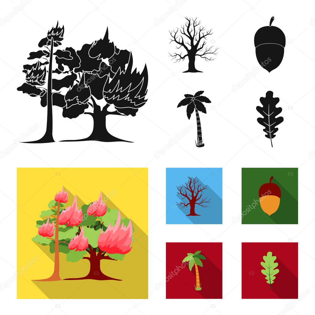 Burning tree, palm, acorn, dry tree.Forest set collection icons in black, flat style vector symbol stock illustration web.