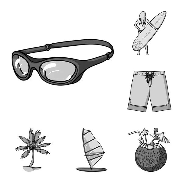 Icônes de surf et monochromes extrêmes dans la collection set pour le design. Surfeur et accessoires symbole vectoriel stock web illustration . — Image vectorielle