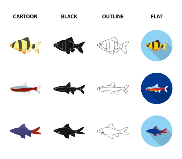 Angelfish, common, barbus, neon.Fish set collection icons in cartoon,black,outline,flat style vector symbol stock illustration web. — Stock Vector