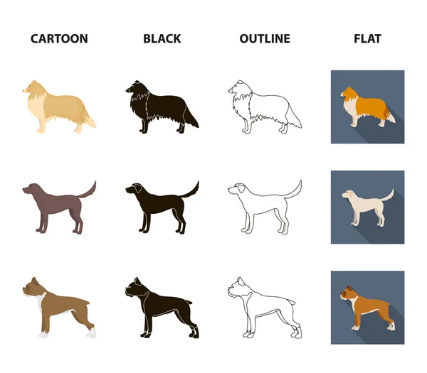 Collie, Labrador, Boxer, Pudel. Hunderassen set sammlung symbole in cartoon, schwarz, umriss, flachen stil vektor symbol stock illustration web. — Stockvektor