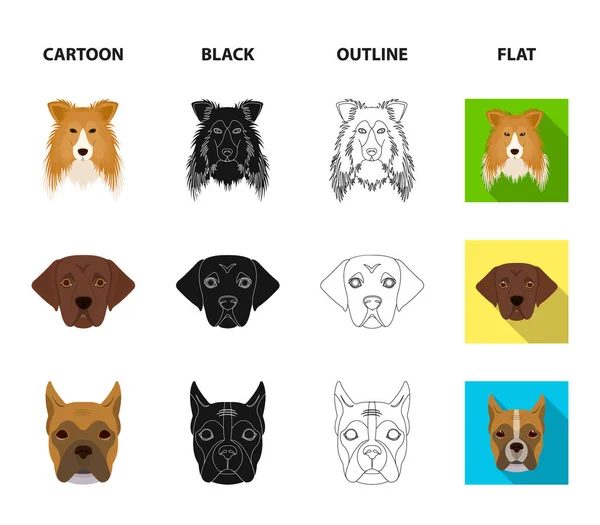 Bozal de diferentes razas de perros. Collie raza perro, lobladore, caniche, boxeador conjunto colección iconos en dibujos animados, negro, contorno, plano estilo vector símbolo stock ilustración web . — Archivo Imágenes Vectoriales