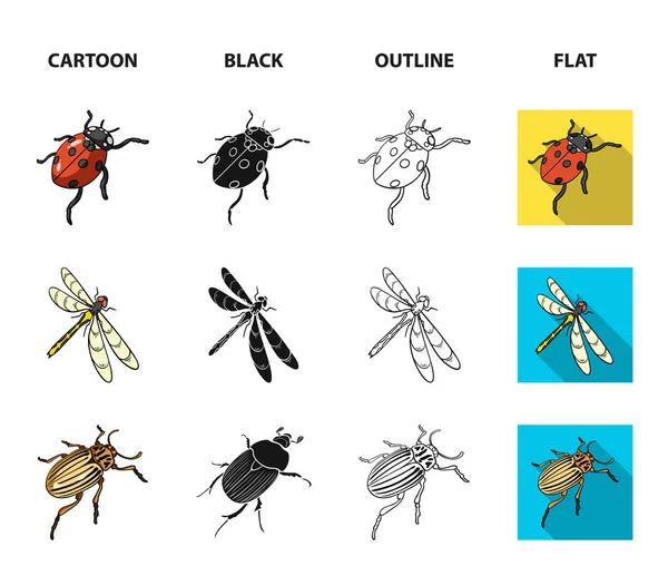 Arthropods Insect ladybird, dragonfly, beetle, Colorado beetle Insects set collection icons in cartoon,black,outline,flat style vector symbol stock isometric illustration web. — Stock Vector