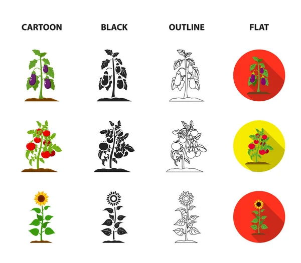 Баклажан, помидоры, подсолнечник и крестьянин. Набор иконок коллекции растений в мультфильме, черный, контур, плоский стиль векторных символов иконок иконок . — стоковый вектор