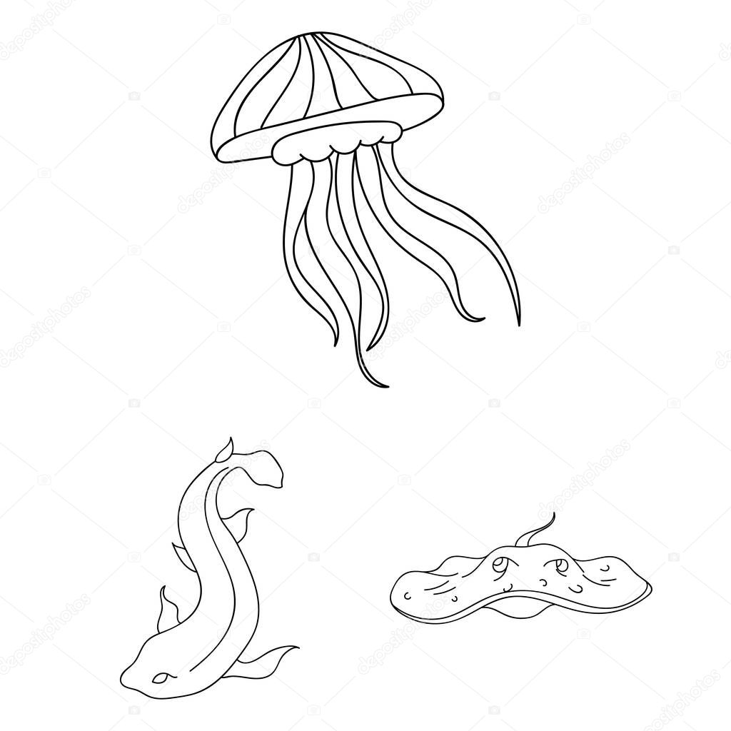 A variety of marine animals outline icons in set collection for design. Fish and shellfish vector symbol stock web illustration.
