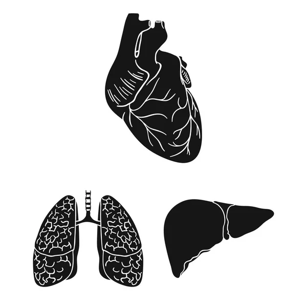 Órganos humanos iconos negros en la colección de conjuntos para el diseño. Anatomía y órganos internos vector símbolo stock web ilustración . — Archivo Imágenes Vectoriales