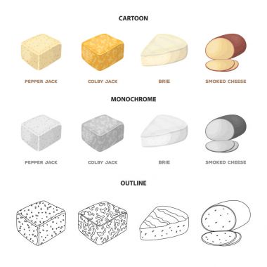 Brynza, füme, colby jack, pepper jack. Peynir farklı türde koleksiyon Icons set çizgi film, anahat, tek renkli stil vektör simge stok çizim web.