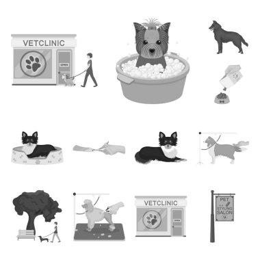 Set koleksiyonu tasarım için evde beslenen hayvan tek renkli simgeler. Bakım ve eğitim sembol stok web illüstrasyon vektör.