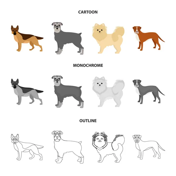 Perro razas de dibujos animados, contorno, iconos monocromáticos en la colección de conjuntos para design.Dog mascota vector símbolo stock web ilustración . — Vector de stock