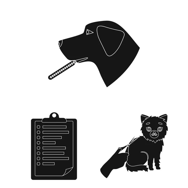 Veterinary clinic black icons in set collection for design. Treatment of a pet vector symbol stock web illustration. — Stock Vector