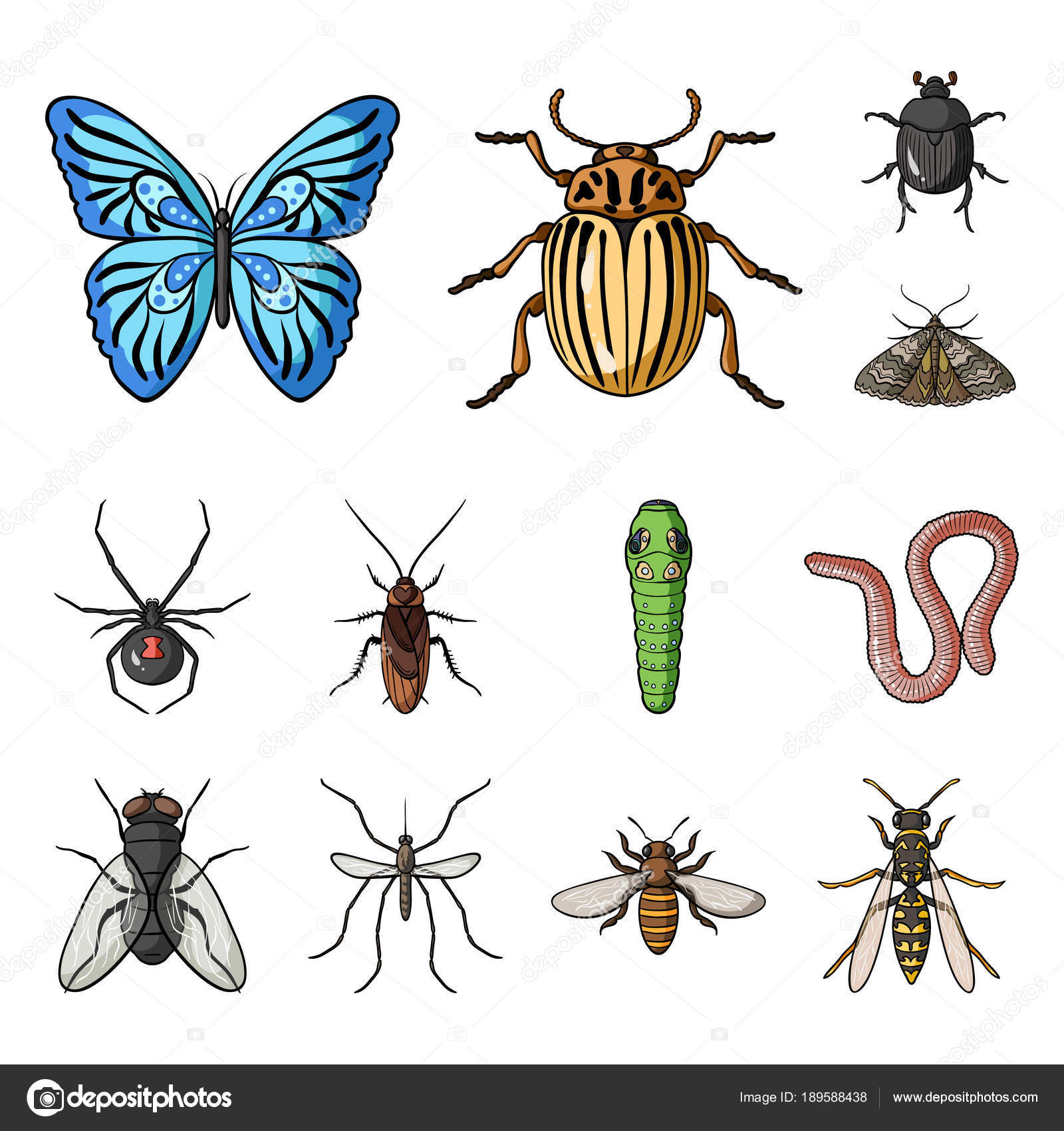 Dibujos: artropodos animados | Diferentes tipos de insectos de dibujos