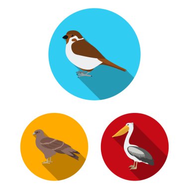 Kuş türleri set koleksiyonu tasarım için simgeleri düz. Ev ve vahşi kuş vektör simge stok web çizim.