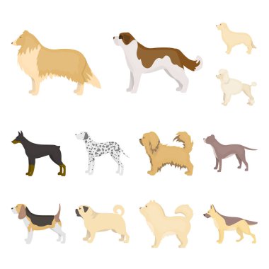 Köpek ırkları set koleksiyonu tasarım için simgeleri karikatür. Köpek evde beslenen hayvan vektör simge stok web çizim.