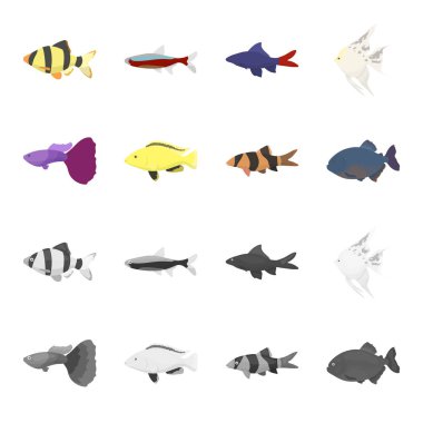 Botia, palyaço, piranha, Çiklit, sinek kuşu, guppy, Balık çizgi film, tek renkli stil vektör simge stok çizim web simgeler ayarla.