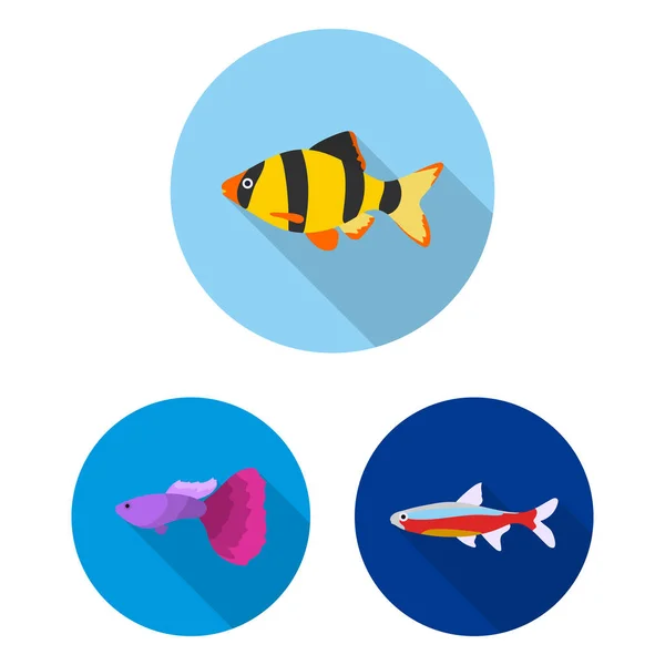 Различные типы рыбных плоских икон в коллекции наборов для дизайна. Векторные символы морских и аквариумных рыб . — стоковый вектор