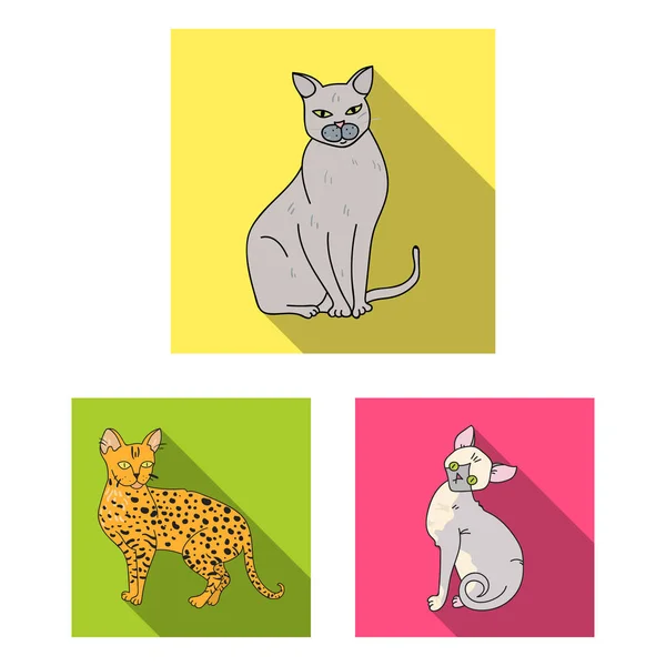 Breeds of cats flat icons in set collection for design. Pet cat vector symbol stock web illustration. — Stock Vector