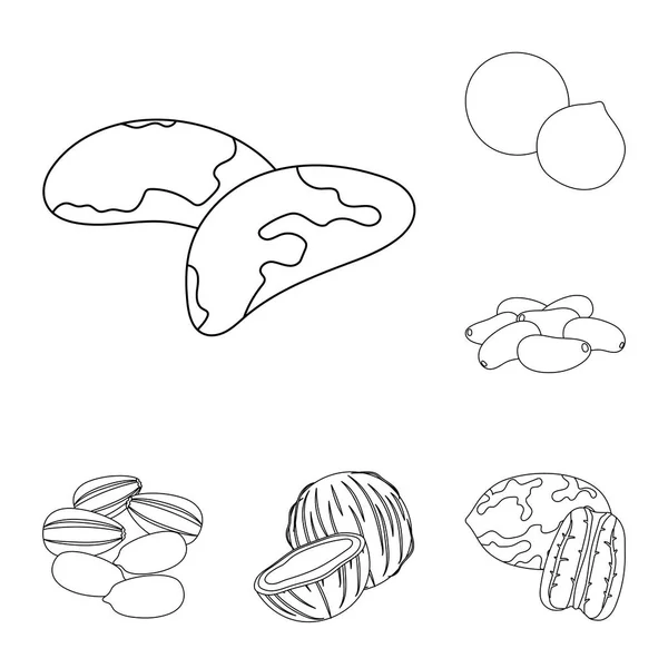 Různé druhy ořechů je uveden přehled ikon v kolekce sady pro design. Matice potravin vektor symbol akcií web ilustrace. — Stockový vektor