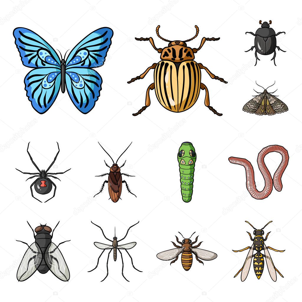 Ilustracion De Set De Coleccion De Insectos De Dibujos Animados Y Mas ...