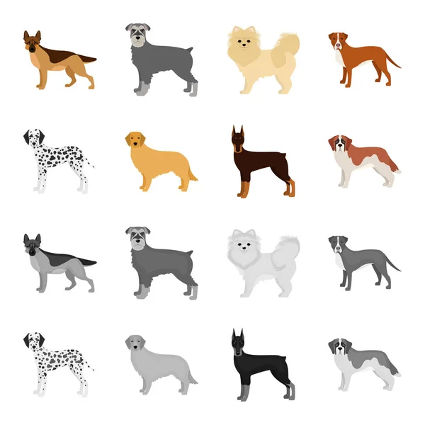 Perro razas de dibujos animados, iconos monocromáticos en la colección de conjuntos para design.Dog mascota vector símbolo stock web ilustración . — Vector de stock