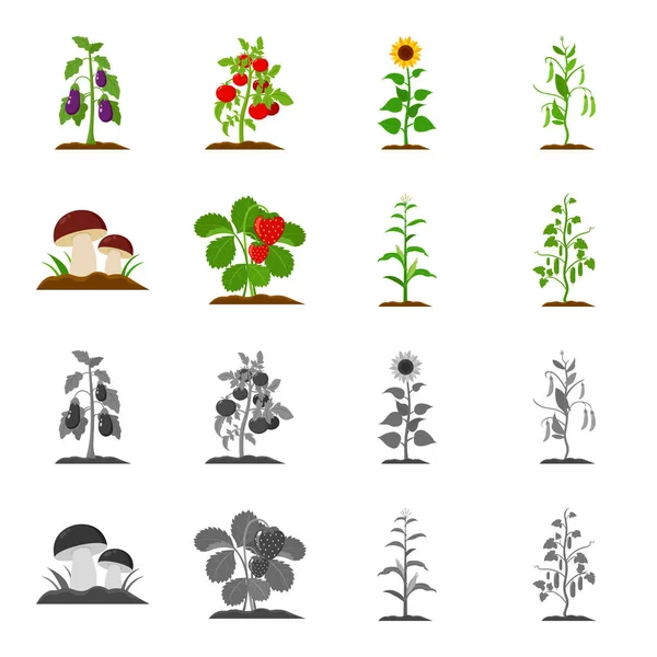 Mushrooms, strawberries, corn, cucumber.Plant set collection icons in cartoon,monochrome style vector symbol stock illustration web. — Stock Vector