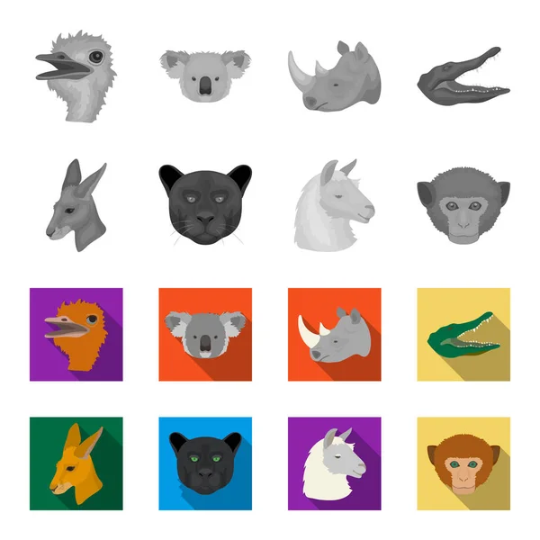 Kängurur, lamadjur, apa, panther, realistiska djur som samling ikoner i monokrom, platt stil vektor symbol stock illustration web. — Stock vektor