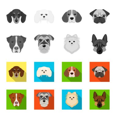 Farklı doğurmak-in köpek ağızlık. Köpek doğurmak Stafford, Spitz, Risenschnauzer, Alman çoban köpeği tek renkli, düz stil vektör simge stok çizim web simgeler ayarla.